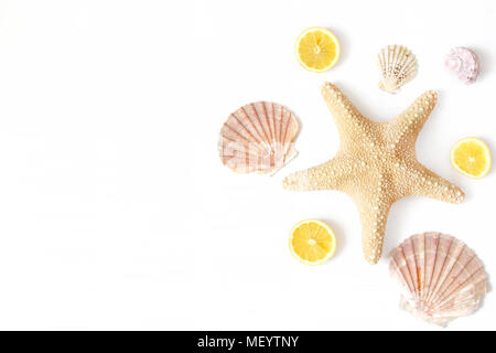 Composition de coquillages exotiques, des huîtres, des étoiles et des rondelles de citron sur fond de bois blanc. Les vacances d'été ou Tropical sea food concept. Mise à plat, Banque D'Images
