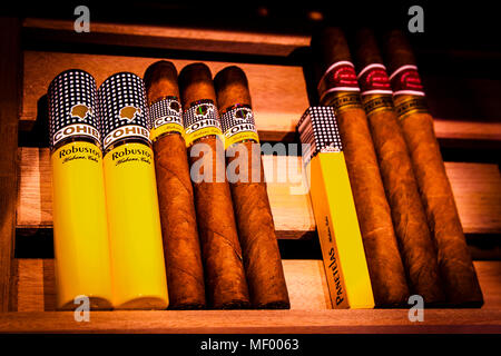 Les cigares Cohiba cubains reposent dans le cabinet à cigares du Davidoff Lounge à l'Hotel Blow Up Hall 5050 à Poznań, en Pologne – le cœur de l'ancien silo à grains où les amateurs de cigares peuvent allumer une Havane avec style. Banque D'Images