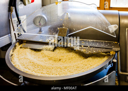 Le miso, assaisonnement japonais traditionnel, fabriqué en Allemagne, la production artisanale de première allemande le miso faite en Allemagne, Forêt-Noire Banque D'Images