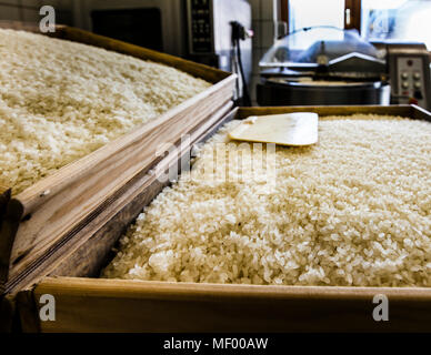 Le miso, assaisonnement japonais traditionnel, fabriqué en Allemagne, la production artisanale de première allemande le miso faite en Allemagne, Forêt-Noire Banque D'Images