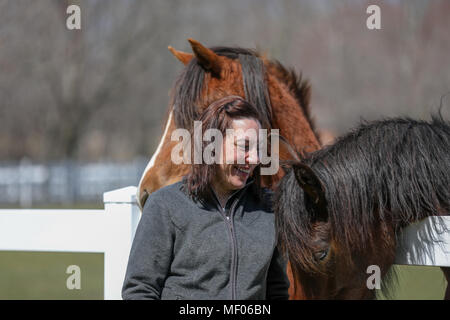 Femme en interaction avec deux beaux chevaux. Banque D'Images
