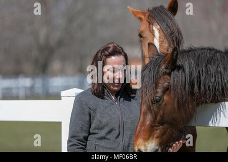 Femme en interaction avec deux beaux chevaux. Banque D'Images