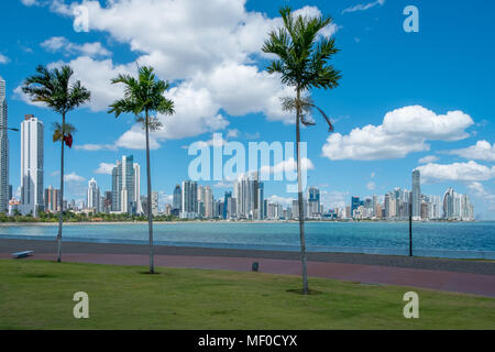 Palmiers sur la promenade de l'océan à Avenida Balboa avec skyscraper sur les toits de la ville de Panama City Banque D'Images