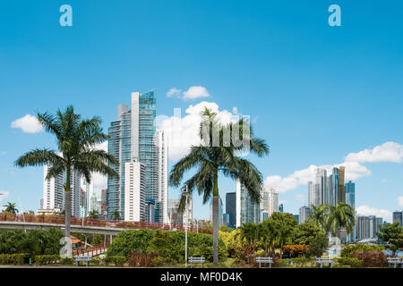 Parc public, palmiers et skyline with skyscrapers - Panama City - Avenida Balboa Banque D'Images