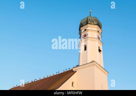 Allemagne, Bavière, Markt Schwaben, cigognes blanches sur le toit de l'église Banque D'Images
