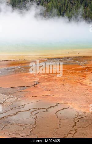 La vapeur, de la brume, et les couleurs du Grand Prismatic Spring MIdway Geyser Basin dans le Parc National de Yellowstone dans le Wyoming Banque D'Images