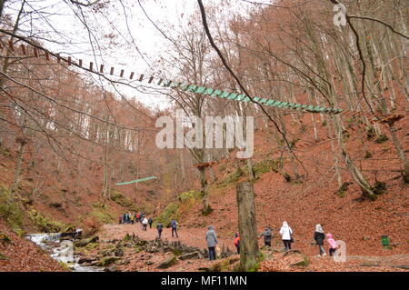 Explorer les sentiers en cascade les plus populaires avec la Forêt nationale organisée à la main Cartes et directions ainsi qu'un examen détaillé et photo Banque D'Images