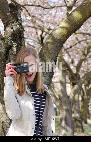 Portland, Oregon / USA - 2 Avril 2018 : Jeune fille joue avec une vieille caméra Pentax sous le printemps les fleurs de cerisier sur le front de mer. Banque D'Images