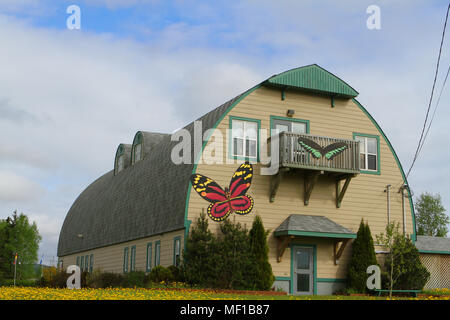Maison des papillons et de l'Insectarium de Montréal près de Deer Lake, Terre-Neuve, Canada Banque D'Images