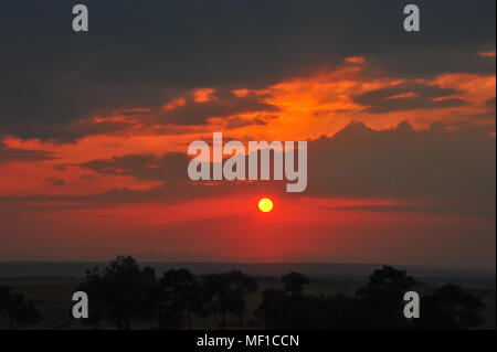 Fiery le lever du soleil sur la Masai Mara, Kenya, Afrique. Banque D'Images