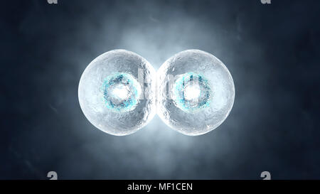 Rendu 3D illustration de la mitose et de la réplication d'une cellule biologique générique. Banque D'Images