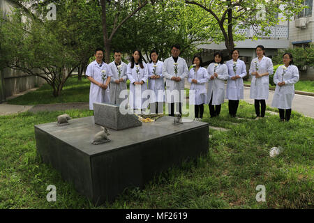 Beijing, Beijing, Chine. Apr 24, 2018. Beijing, Chine-Étudiants et enseignants de l'Université médicale de la capitale le deuil des animaux de laboratoire à Beijing, 24 avril 2018, marquant la Journée Mondiale des Animaux de laboratoire. Crédit : SIPA Asie/ZUMA/Alamy Fil Live News Banque D'Images