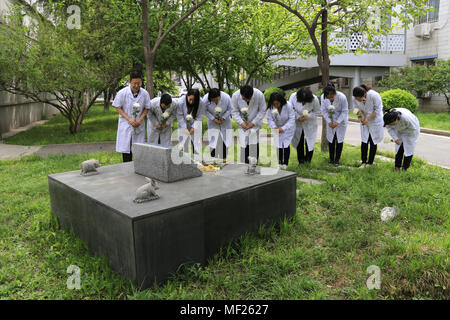 Beijing, Beijing, Chine. Apr 24, 2018. Beijing, Chine-Étudiants et enseignants de l'Université médicale de la capitale le deuil des animaux de laboratoire à Beijing, 24 avril 2018, marquant la Journée Mondiale des Animaux de laboratoire. Crédit : SIPA Asie/ZUMA/Alamy Fil Live News Banque D'Images