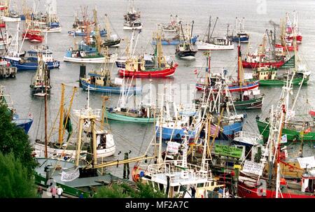 Photo insolite sur le Kiel Forde : plus de 150 rouge, vert et bleu sur les chalutiers chug 26.8.1999 en face de la maison de campagne sur le Schleswig-Holstein Forde d'avant en arrière. Les crustacés et les pêcheurs de crabe avait de Kiel, pour protester contre l'extension prévue du parc national Schleswig-Holstein mer des Wadden. Dans le monde d'utilisation | Banque D'Images