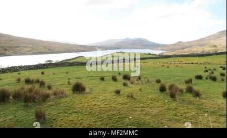 L'Anneau du Kerry. Les visiteurs les plus célèbres d'Irlande l'attraction, l'Anneau du Kerry, est une route panoramique qui entoure l'Iveragh en Irlande. Banque D'Images