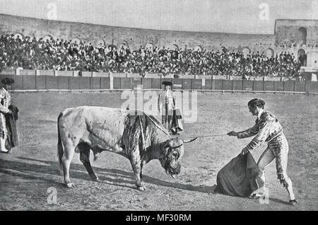 Courses - Le Descabello Bull Banque D'Images