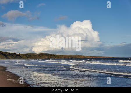 La marée de sortir sur St Cyrus Beach après une tempête Automne de la veille, avec les vagues se briser sur la plage d'étagères peu profondes. L'Aberdeenshire Banque D'Images