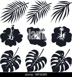 Feuilles et fleurs tropicales. Monstera, hibiscus, cocotier. Silhouettes vecteur Illustration de Vecteur