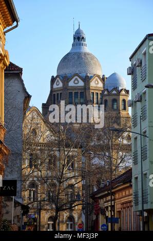 Novi Sad, la capitale de la province autonome de Voïvodine en Serbie : la synagogue Banque D'Images