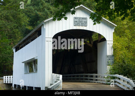 Pont couvert de Wildcat, Lane County, Oregon Banque D'Images