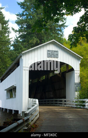 Pont couvert de Wildcat, Lane County, Oregon Banque D'Images