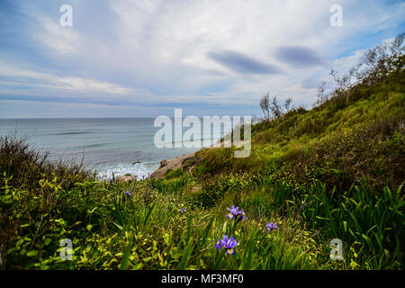 Les plages de Nouvelle Angleterre USA Banque D'Images