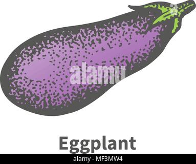 Vector illustration à la main grande maturité l'aubergine Illustration de Vecteur