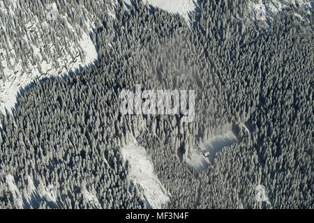 L'Autriche, Salzkammergut, vue aérienne de la forêt de conifères en hiver Banque D'Images