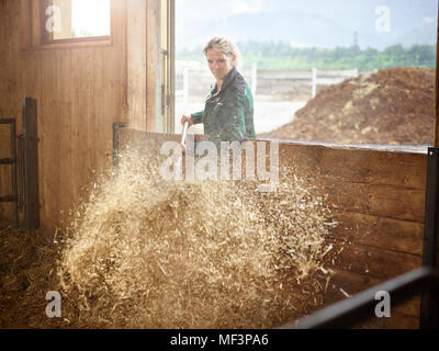 La productrice travaillant avec de la paille à la ferme Banque D'Images