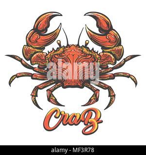 Croquis du crabe dessiné à la main en couleurs. Vector illustration. Illustration de Vecteur