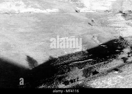 L'ombre de l'arbre sur une montagne avec de la neige fondue Banque D'Images