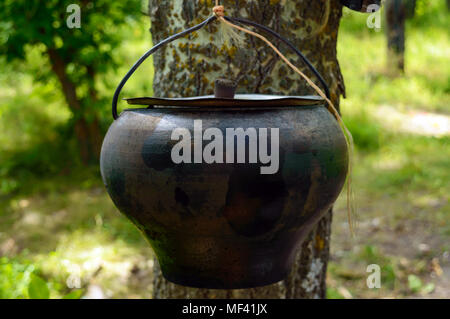 Un pot pour la cuisson sur un feu ouvert, suspendu à l'arbre. Pour des randonnées. Men's style. Banque D'Images