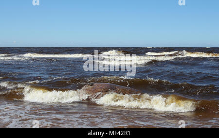 La côte du golfe de Riga au début du printemps après la tempête. Banque D'Images