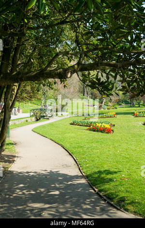 La gagnante du prix Trenance Gardens de Trenance Gardens à Newquay Cornwall. Banque D'Images