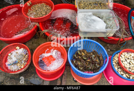 Seaux d'escargots de mer, calmars, crabes et fruits de mer dans une échoppe de marché dans la tonne ce barrage des marchés de rue, Ho Chi Minh City, Vietnam. Banque D'Images