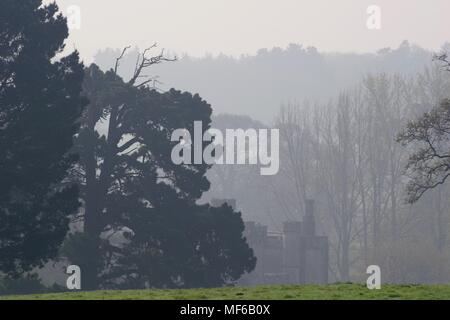 Powderham Castle tourelle dans Misty Woodland. Exeter, Devon, UK. Avril, 2018. Banque D'Images