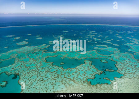 Les structures dans le Récif Extérieur, Grande Barrière de Corail, Queensland, Australie Banque D'Images