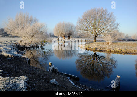 La brume et le givre du matin dans la vallée de la Stour Banque D'Images