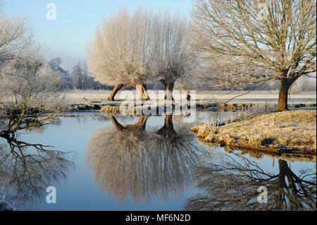 La brume et le givre du matin dans la vallée de la Stour Banque D'Images