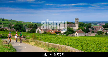 Vignoble et village de Pommard. Côte d'or. Route des grands crus. La Bourgogne. France Banque D'Images
