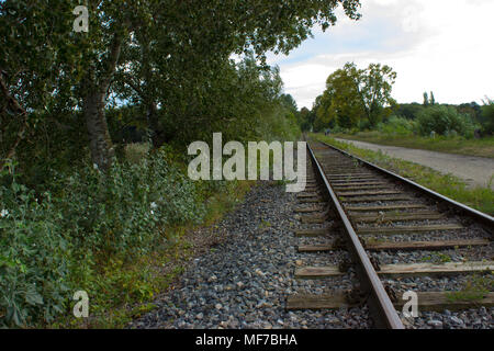 Des voies de chemin de fer sont en retard sur l'horizon. Arbres et buissons sur les côtés. Il y a deux touristes le long de la manière. Banque D'Images