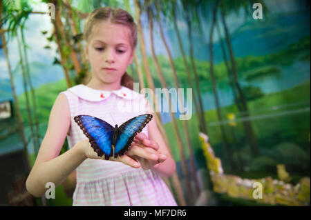 Handsome little girl holding vivant beau papillon sur sa main Banque D'Images