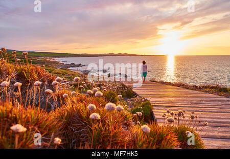 Italie, Sardaigne, Lu Litarroni, senior woman sur trottoir de bois au coucher du soleil Banque D'Images