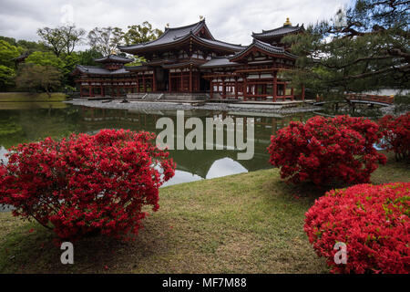 Byodo-in est un temple bouddhiste dans la ville d'Uji, préfecture de Kyoto un trésor national et un site du patrimoine mondial. Son contour est en vedette sur la ¥10 Banque D'Images