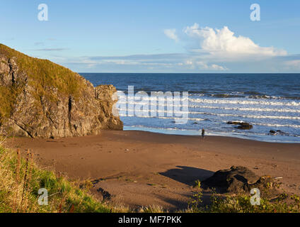 Une femme marche solitaire le long de St Cyrus plage vers l'extrémité nord des falaises, les conditions orageuses avec le courant de l'État. L'Aberdeenshire, Ecosse Banque D'Images