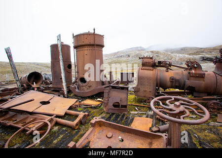 Camp Mansfield, ancienne demeure ancienne carrière de marbre, Île Blomstrand, Krossfjord, arctique, Spitzberg, Svalbard, Norvège Banque D'Images