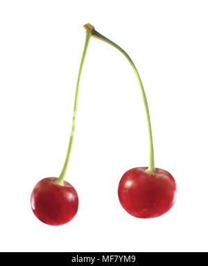 Cherry réaliste isolé sur fond blanc Illustration de Vecteur