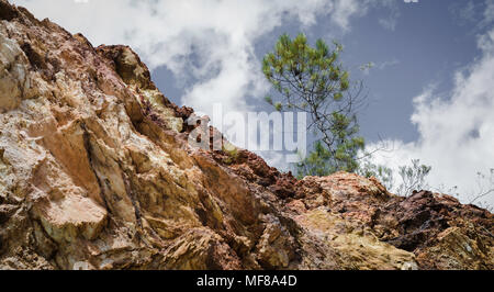 Arbre sur la pente de roches minérales Banque D'Images