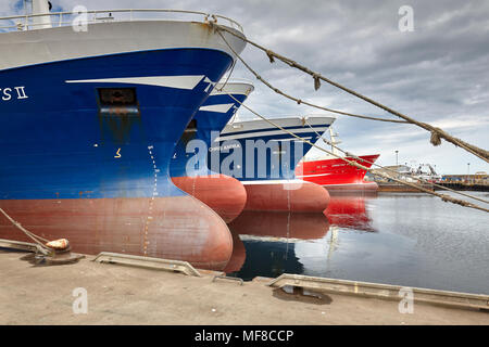 Taits 11 Pelargic et autres chalutiers de pêche amarré à Fraserburgh Port. Montrant le bulbe au-dessus de la ligne de flottaison Banque D'Images