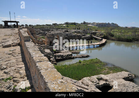 Israël, Maagan Michaël Michael, Nahal Taninim - parc national de la rivière Crocodile, l'ancien aqueduc romain et périphérique floodgate Banque D'Images